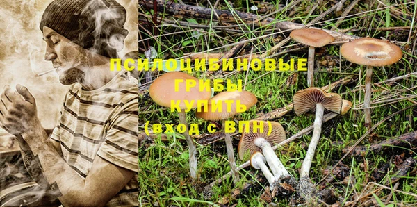 гидропоника Зерноград