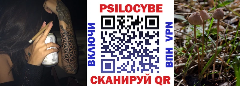 Галлюциногенные грибы Magic Shrooms  Купить где  Чадан 