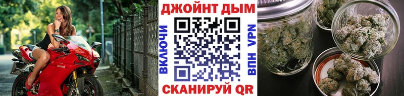 Купить  Чадан  МАРИХУАНА Amnesia 